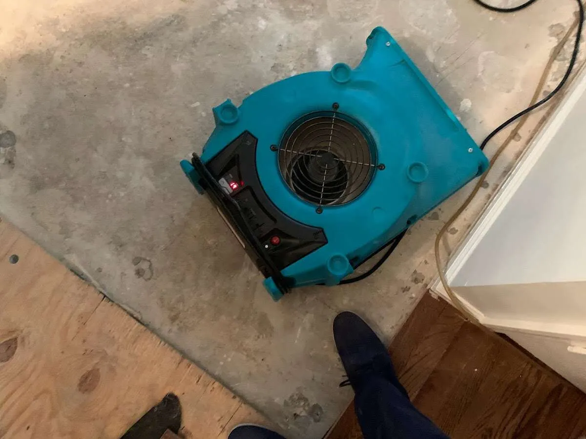 Air mover drying subfloor during Commercial Water Damage Restoration in West Jefferson